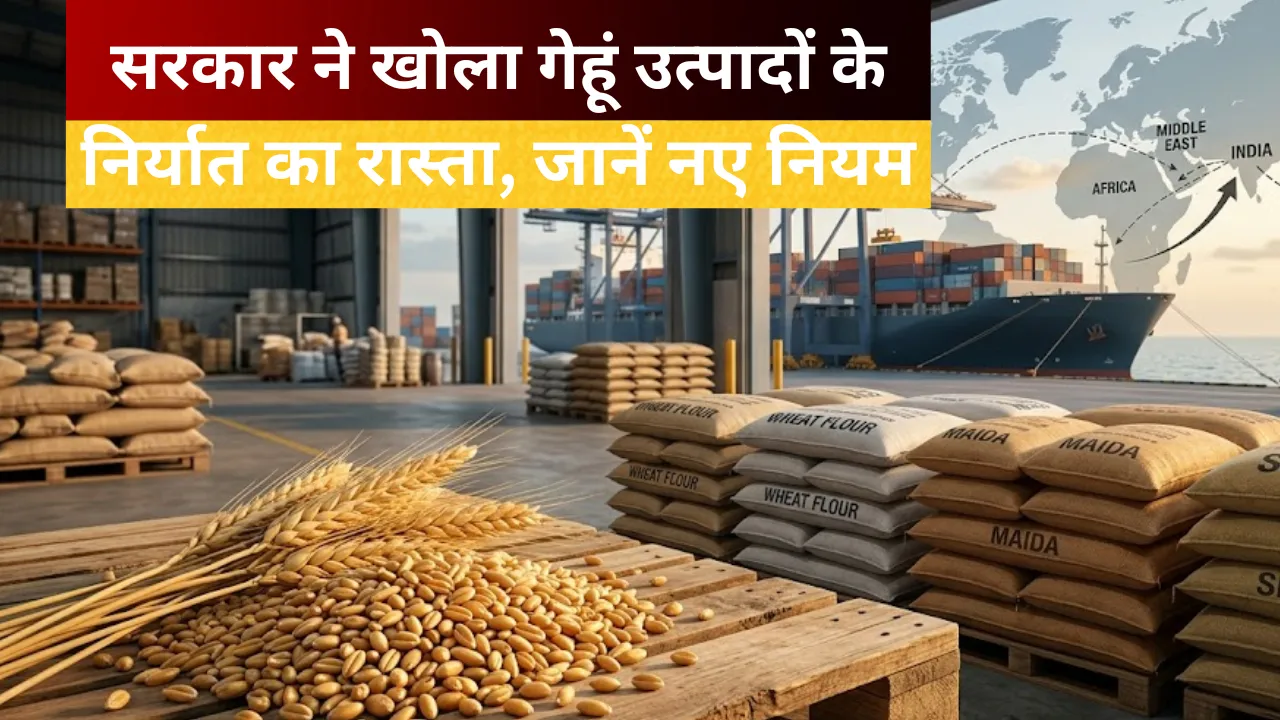Wheat Export: आटा-मैदा-सूजी के निर्यात से हटा प्रतिबंध, सरकार ने बदले नियम