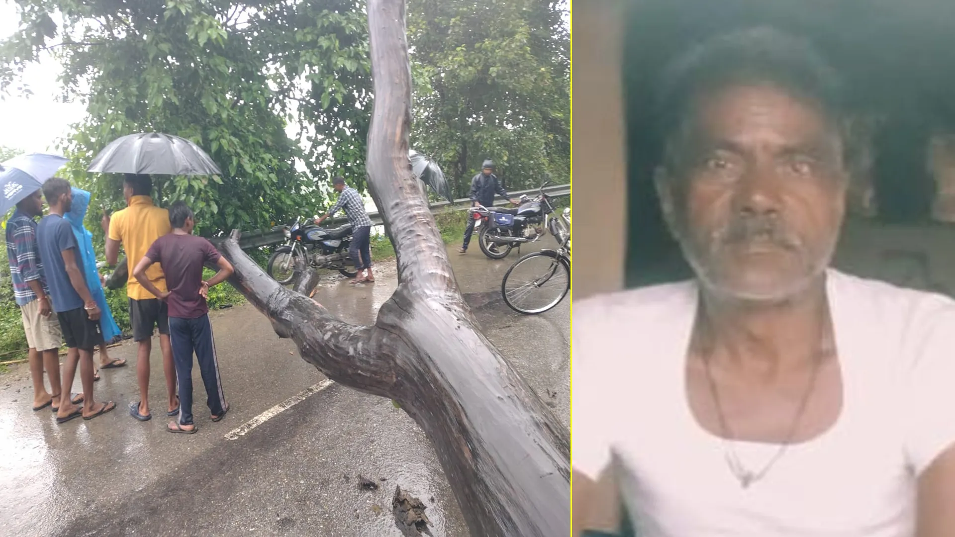 पीलीभीत के बरखेड़ा में दर्दनाक हादसा, पैदल घर लौट रहे बुजुर्ग पर गिरा पेड़, गई जान