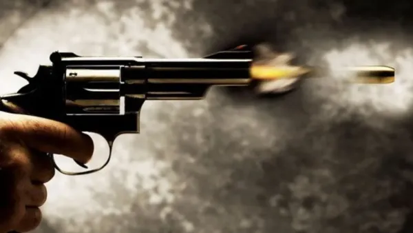 नोएडाः शादी समारोह में हर्ष फायरिंग करने वाले व्यक्ति की तलाश में जुटी पुलिस, वीडियो वायरल