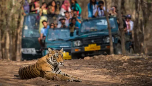 दुधवा नेशनल पार्क की सैर अब आसान और सस्ती: एक रात-दो दिन के 5 विशेष पैकेज लॉन्च