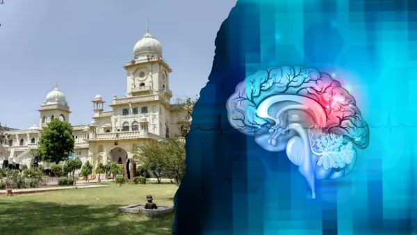 पान का पत्ता बनेगा अल्ज़ाइमर की दवा! लखनऊ यूनिवर्सिटी की बड़ी खोज, दूर होगी भूलने की बीमारी