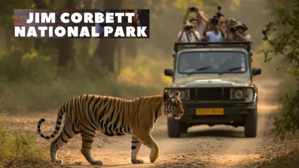 Jim Corbett National Park: नए साल के जश्न से पहले कॉर्बेट पार्क में हाई अलर्ट, वनकर्मियों की छुट्टियां रद्द 