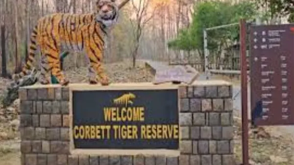 उत्तराखंड :  कॉर्बेट के ढेला रेस्क्यू सेंटरों में वन्यजीवों के लिए विशेष इंतजाम, ठंड से बचने के लिए तैयार हुआ डाइट चार्ट  