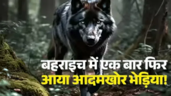  यूपी : मां की गोद में सो रही बच्ची को उठा ले गया आदमखोर भेड़िया, ताबड़तोड़ तीसरे बच्चे को बनाया निशाना 