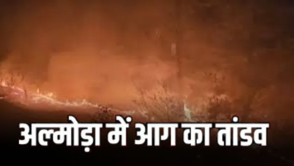 अल्मोड़ा के जंगलों में लगी भीषण आग:  वन संपदा को भारी नुकसान, पर्यावरण और पर्यटन पर पड़ा नकारात्मक प्रभाव