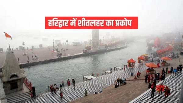  हरिद्धार में शीतलहर का प्रकोप: डीएम ने रैन बसेरों का किया निरीक्षण, व्यवस्थाओं का लिया जायजा 