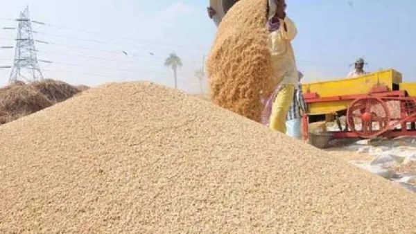 Bareilly : चार हजार किसानों के साथ चार करोड़ की लूट का आरोप