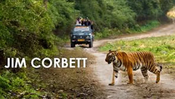 उत्तराखंड : कॉर्बेट पार्क में अब मोबाइल ले जाने पर लगाया गया प्रतिबंध, अमृत विचार ने पूर्व में ही प्रकाशित की थी खबर