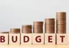 इस बार बजट की तारीख बदलेगी या फिर 1 फरवरी, रविवार को खुलेगा शेयर बाजार?