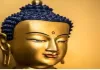 कानपुर में भगवान बुद्ध के पंचशील सिद्धांतों की दिलाई गई शपथ  