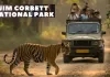 <span class="t-red">Jim Corbett National Park:</span> नए साल के जश्न से पहले कॉर्बेट पार्क में हाई अलर्ट, वनकर्मियों की छुट्टियां रद्द 
