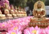 <span class="t-red">नववर्ष पर वाराणसी और कोलकाता के फूलों से महकेगी बुद्ध भूमि, </span>हुए ये खास इंतजाम