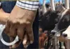 वाराणसी में गो तस्करी के खिलाफ ताबड़तोड़ हुए एक्शन, 2025 में  42 अभियोग पंजीकृत... 111 गिरफ्तार