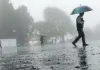 <span class="t-red">UP Weather Update :</span> यूपी में मानसून का कहर, 31 जिलों में भारी बारिश का अलर्ट; सरयू, गंगा, शारदा और यमुना उफान पर