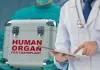 <span class="t-red">अंगदान में क्रांति: </span>2013 में 5 हजार से 2025 में 20,000 तक पहुंचा प्रतिरोपण, भारत हाथ प्रत्यारोपण में विश्व नंबर-1