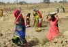 मनरेगा कर्मियों को आठ माह से नहीं मिला मानदेय, होली से पहले भी खाली