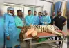 <span class="t-red">Bareilly :</span> IVRI आकर बच सकी की श्वेत बाघिन की जान, छह घंटे तक चली जटिल सर्जरी 