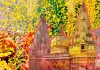 <span class="t-red">काशी विश्वनाथ धाम में खेली जाएगी फूलों की होली: </span>रंग नहीं, सिर्फ पुष्पों से रंग-बिरंगा उत्सव, श्रद्धालुओं को मिलेगा आध्यात्मिक आनंद