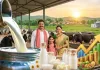 <span class="t-red">यूपी के डेयरी उत्पादों का ग्लोबल धमाल:</span> 10.16% ग्रोथ के साथ निर्यात 489 करोड़ पहुंचा, पशुपालकों की आय में आई तेजी