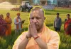 <span class="t-red">योगी सरकार ने कृषि योजनाओं के लिए 43.51 करोड़ की दी मंजूरी,</span> मिलेगा ऊर्जा और डिजिटल सेवाओं का लाभ