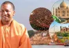 <span class="t-red">योगी सरकार के 9 साल का कमाल, </span> UP में अर्थव्यवस्था का प्रमुख चालक बनकर उभरा पर्यटन