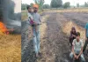 बाराबंकी : शार्ट सर्किट से लगी आग, 11 बीघा फसल जलकर राख
