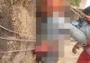 बाराबंकी : गेहूं चोरी के आरोप में पेड़ से बांधकर युवक की पिटाई