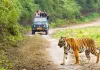 <span class="t-red">Uttrakhand:</span> पर्यटकों की कमी से जूझ रहा कॉर्बेट पार्क, 58 हजार कम पहुंचे सैलानी