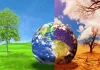 चिंतनीय है पृथ्वी पर बढ़ता तापमान और सिमटते वन