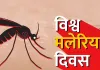 <span class="t-red">विश्व मलेरिया दिवस आज, </span> तीन वर्ष में छह गुना बढ़ गए मलेरिया के मरीज, बचाव और समय पर इलाज पर जोर