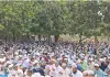 <span class="t-red">Bakra Eid  2026 :</span> लखनऊ के ऐशबाग ईदगाह में अदा हुई बकरीद की नमाज, मंत्री दनिश अंसारी बोले- त्याग और बलिदान का प्रतीक हैं ईद-उल-अजहा