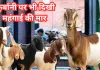 <span class="t-red">महंगाई की मार:</span> कुर्बानी कम होने से मदरसों की टूटी कमर, दान में कमी से संकट में मदरसों का बजट