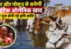 <span class="t-red">गोमाता से ‘जीन क्रांति’ की तैयारी: </span>गोबर-गोमूत्र से बनेगी सुपर खाद, IIT कानपुर की तकनीक से 15 गुना असरदार ऑर्गेनिक फर्टिलाइजर