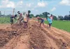 <span class="t-red">मनरेगा के सामग्री मद में 1490 करोड़ रुपये स्वीकृत,</span> यूपी के सभी 75 जिलों को पहली किश्त आवंटित