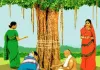 <span class="t-red">Vat Savitri Vrat : </span>सुहागिन महिलाएं करेंगी सोलह श्रृंगार, जानें किस शुभ मुहूर्त में पूजा करने से मिलेगा अक्षय फल