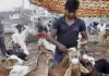 बकरीद पर गोरखपुर में 24 घंटे चलेगा विशेष सफाई अभियान, नगर आयुक्त ने दिए सख्त निर्देश