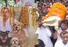 <span class="t-red">लखनऊ : </span>बैकुंठ धाम पहुंच रही प्रतीक यादव की शव यात्रा, शव वाहन पर सवार हुए सांसद आदित्य यादव 