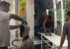 <span class="t-red">Rampur News :</span> कैंटर की टक्कर से नैनीताल हाईवे पर पलटी ट्रैक्टर-ट्रॉली, चालकों सहित 11 घायल