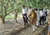 बाराबंकी : लीची बाग में जिलाधिकारी ने किसानों से किया संवाद, खेती से जुड़ी चुनौतियों की जानकारी ली