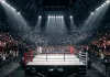 <span class="t-red">Pro Boxing League: </span>महिला मुक्केबाजों पर लगी रिकॉर्ड बोली, 6 जुलाई से दिल्ली में होगा रोमांचक आगाज