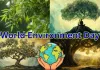 <span class="t-red">World Environment Day:</span> पीपल, बरगद और नीम हैं प्राकृतिक 'एयर प्यूरिफायर', विशेषज्ञों ने प्लास्टिक को बताया प्रकृति का भस्मासुर