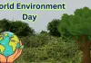 <span class="t-red">World Environment Day: </span>कागजी दावे छोड़ उन्नाव के वन कर्मियों ने कर दिखाया कमाल... बंजर भूमि को 'सीडबॉल' तकनीक से बनाया 'ऑक्सीजन हब'