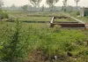 <span class="t-red">Barabanki News: </span> वन भूमि पर प्लाटिंग का खेल! देवा-फतेहपुर मार्ग पर नींव भरकर काटे जा रहे प्लॉट, वन विभाग बेखबर