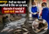 <span class="t-red">कानपुर:</span> टेनरी का गंदा पानी मछलियों के लिए बन रहा काल, पोस्टमार्टम में गलफोड़ों में काली गंदगी जमा मिली