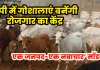 <span class="t-red">यूपी में गोशालाएं बनेंगी रोजगार का केंद्र, </span>‘एक जनपद-एक नवाचार’ मॉडल से बढ़ेगी ग्रामीण अर्थव्यवस्था