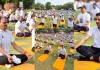 <span class="t-red"> लखनऊ रेजिडेंसी में अंतरराष्ट्रीय योग दिवस पर भव्य आयोजन:</span> डिप्टी सीएम ब्रजेश पाठक-डीएम विशाख समेत कई हस्तियों ने किया योग, पीएम मोदी का संबोधन भी सुना