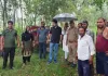 <span class="t-red">Moradabad News :</span> घर में घुसकर बकरी को ले गया तेंदुआ, मिला अधखाया शव