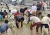 Sitapur News : जर्जर सड़क पर लोगों ने की धान की रोपाई, जलभराव के विरोध में अनोखा प्रदर्शन, देखें वीडियो