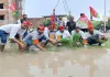 Hardoi News : हरदोई में जलभराव के विरोध में सड़क पर धान की रोपाई, सपा नेता ने कीचड़ में गाड़े भाजपा के झंडे