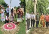 Gonda News : वृक्षारोपण महाअभियान-2026 के तहत गोंडा में लाखों पौधे रोपे गए, पर्यावरण संरक्षण का लिया संकल्प